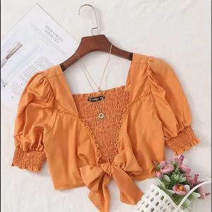 Rust Self Tie Crop Top